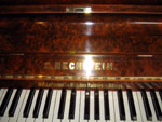 Bechstein name