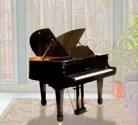 Butterfly Grand Piano for sale