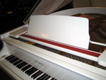 Samick Baby Grand for sale